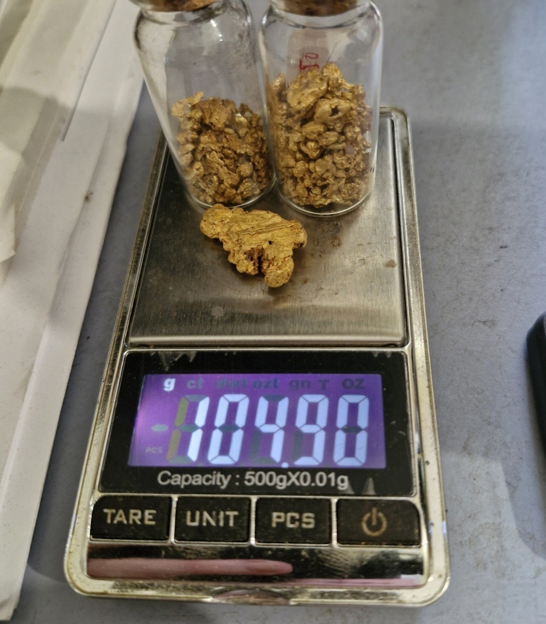 nugs2024